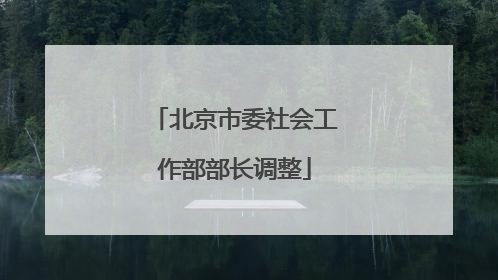 北京市委社会工作部部长调整